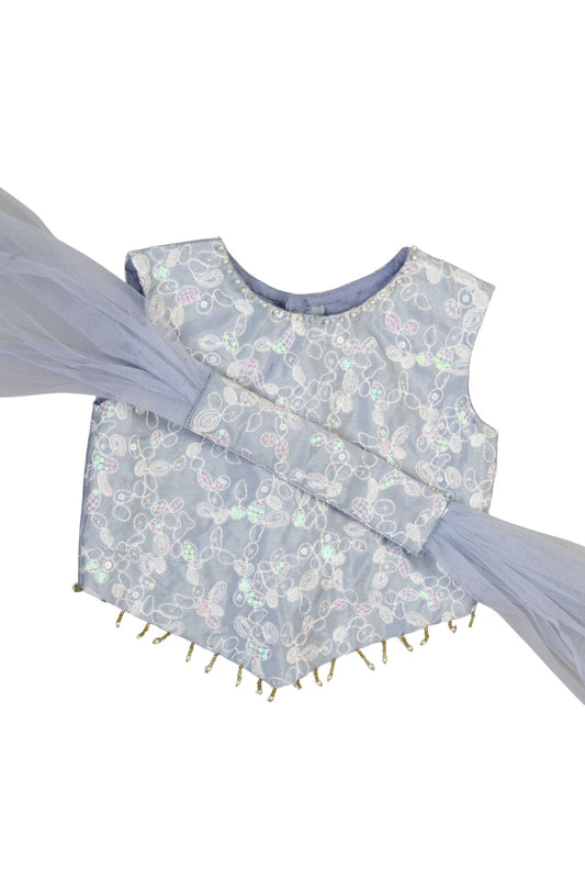 Grey Bollywood Crop Top & Flare Pants