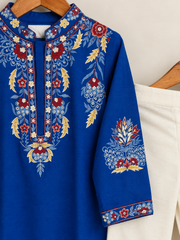 Blue embroidered Kurta
