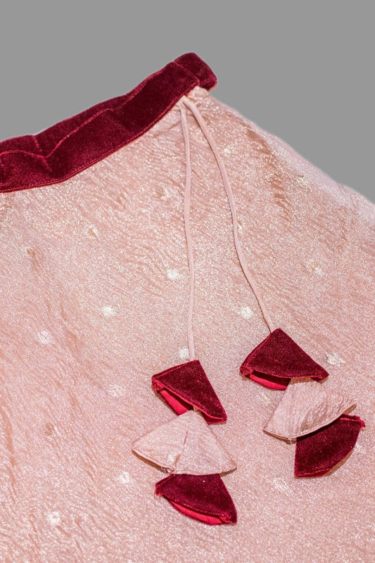 Tissue Lehenga with Velvet Top
