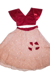 Tissue Lehenga with Velvet Top